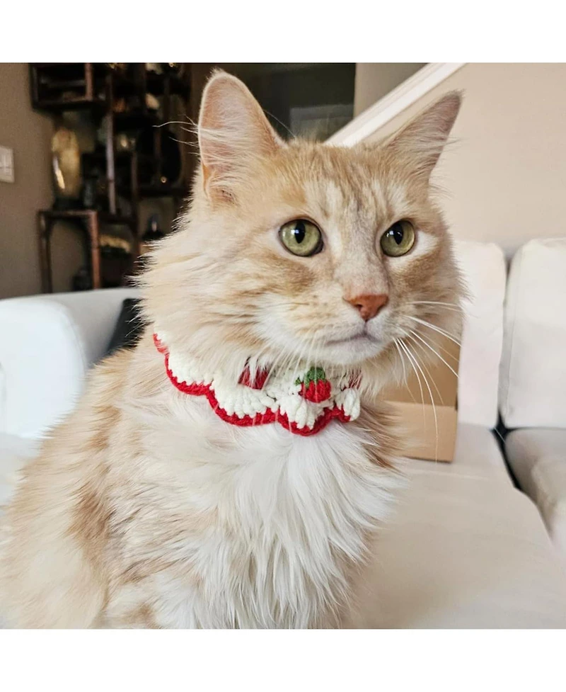 Aronkl Handmade Crocheted Cat Collar Breakaway Cute Strawberry Bow Tie Soft Comfortable Adjustable for Kittens Small Puppies