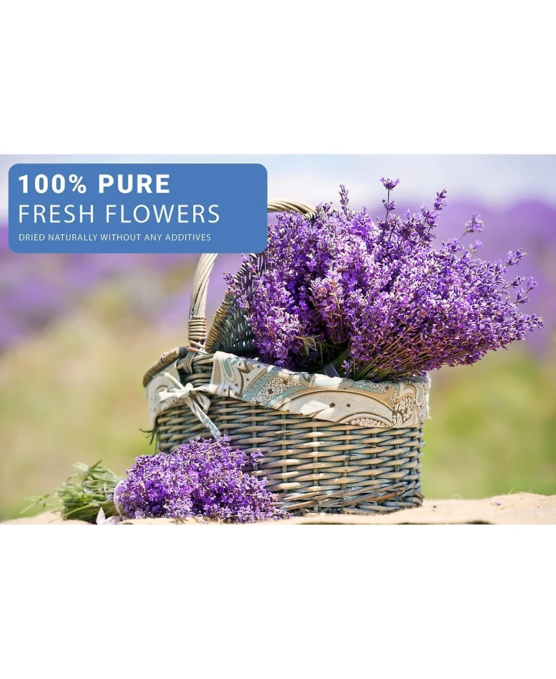 Gnuadz 16 Bags Dried Flowers Soap Candle Bath Bomb Making Fragrant Grade A Variety