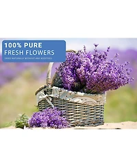 Gnuadz 16 Bags Dried Flowers Soap Candle Bath Bomb Making Fragrant Grade A Variety