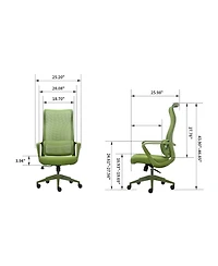Rainsken Ergonomic Computer Chair