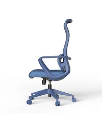 Rainsken Home Office Desk Chair Featuring Breathable Mesh High Back, Adjustable Lumbar Support and Soft Foam Cushion for Study Room