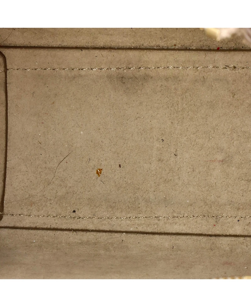 Pre-Owned Celine Pico Belt Bag Textured Leather