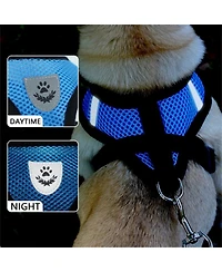 Zeus and Ruta Cat Harness with Adjustable Control Vest, Reflective Straps,and Matching Leash