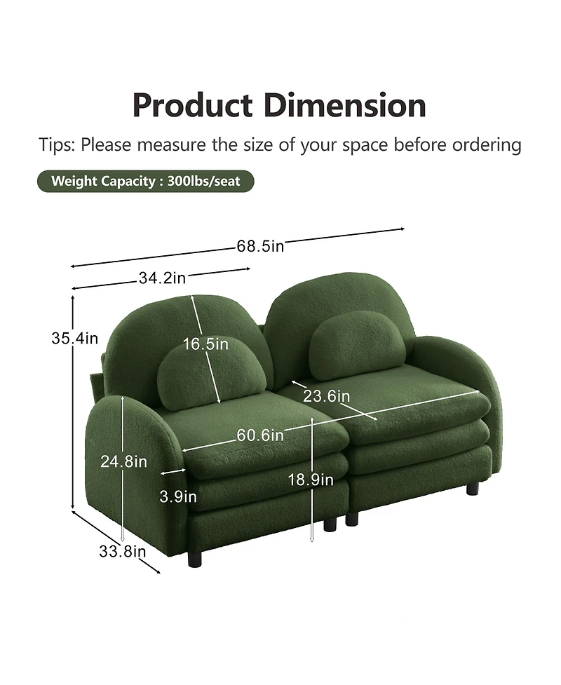 Rainsken Modern Modular 2-Seater Teddy Sofa, Curved Back and Armrest Design with Matching Curved Lumbar Pillows for Home Living Space