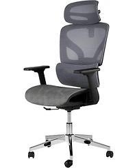 gaomon 1-Piece Mesh Ergonomic High-Back Office Chair with 3D Adjustable Armrests and Smooth-Rolling Wheels
