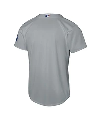 Nike Big Boys and Girls Gray Los Angeles Dodgers Alternate Stadium Jersey