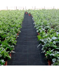 Sugift Premium Weed Barrier Fabric, Heavy Duty, Woven Geotextile Fabric