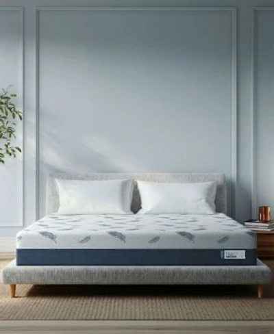 Noctua Tern 12 Hybrid Firm Tight Top Mattress In A Box Collection