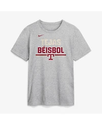 Nike Men's Heather Gray Texas Rangers City Connect Stacked Team Phrase T-Shirt