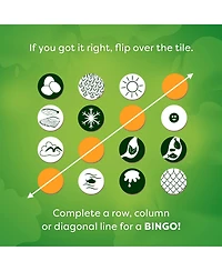 Haba Animals of the World Bingo Set - Educational Animal Bingo Game for Kids 8+