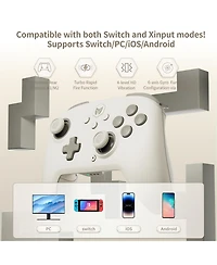 Bigbig Won Choco Bluetooth Wireless Controller for Switch, Pc