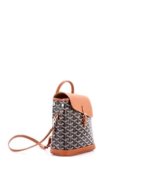 Pre-Owned Goyard Mini Alpin Backpack Coated Canvas