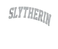 Harry Potter Men's Slytherin Arched T Shirt