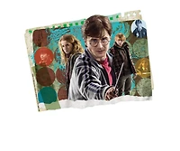 Harry Potter Men's Harry, Hermoine, And Ron Photo Collage T Shirt