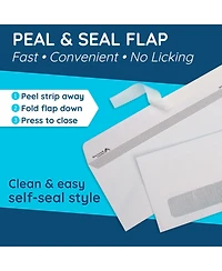 Gnuadz Window Envelope Self Seal Security Tint 10 Business