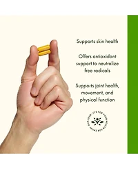 Swanson Turmeric Antioxidant Supplement, Joint, Heart, Liver, Mood and Memory Support, Curcuma Longa 720 Miligram, 240 Capsules, 120 Servings