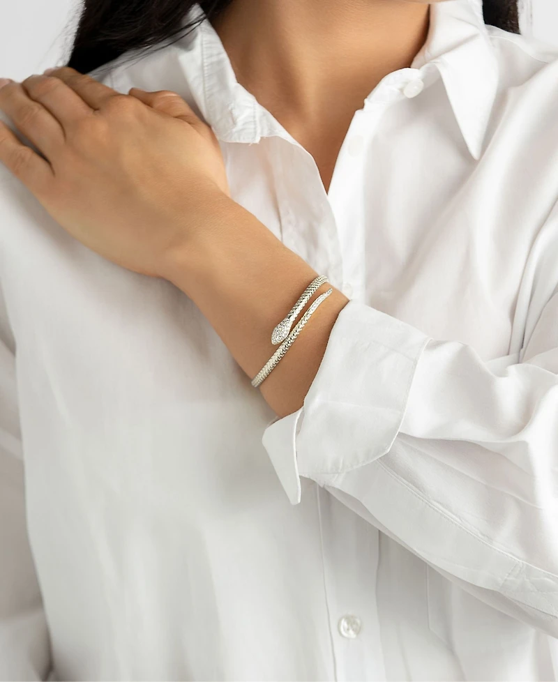 Adornia Silver 2-Piece Snake and Cuff Bolo Bracelet Set