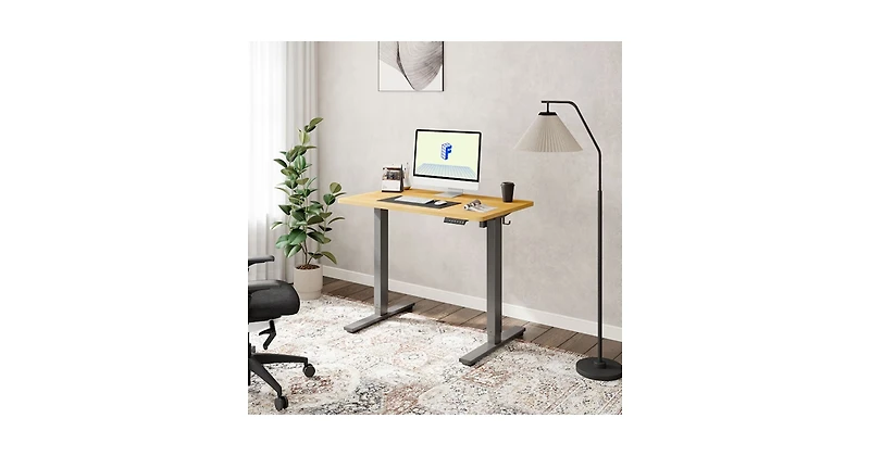 FlexiSpot E2 40" x 24" Electric Height-Adjustable Standing Desk