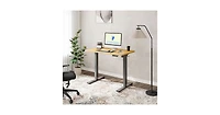 FlexiSpot E2 40" x 24" Electric Height-Adjustable Standing Desk