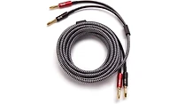 Elac Spw-10FT-p 10ft Sensible Speaker Cable Pair (2018)