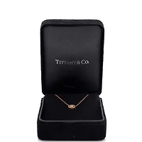 Pre-Owned Tiffany & Co Circlet Pendant Necklace
