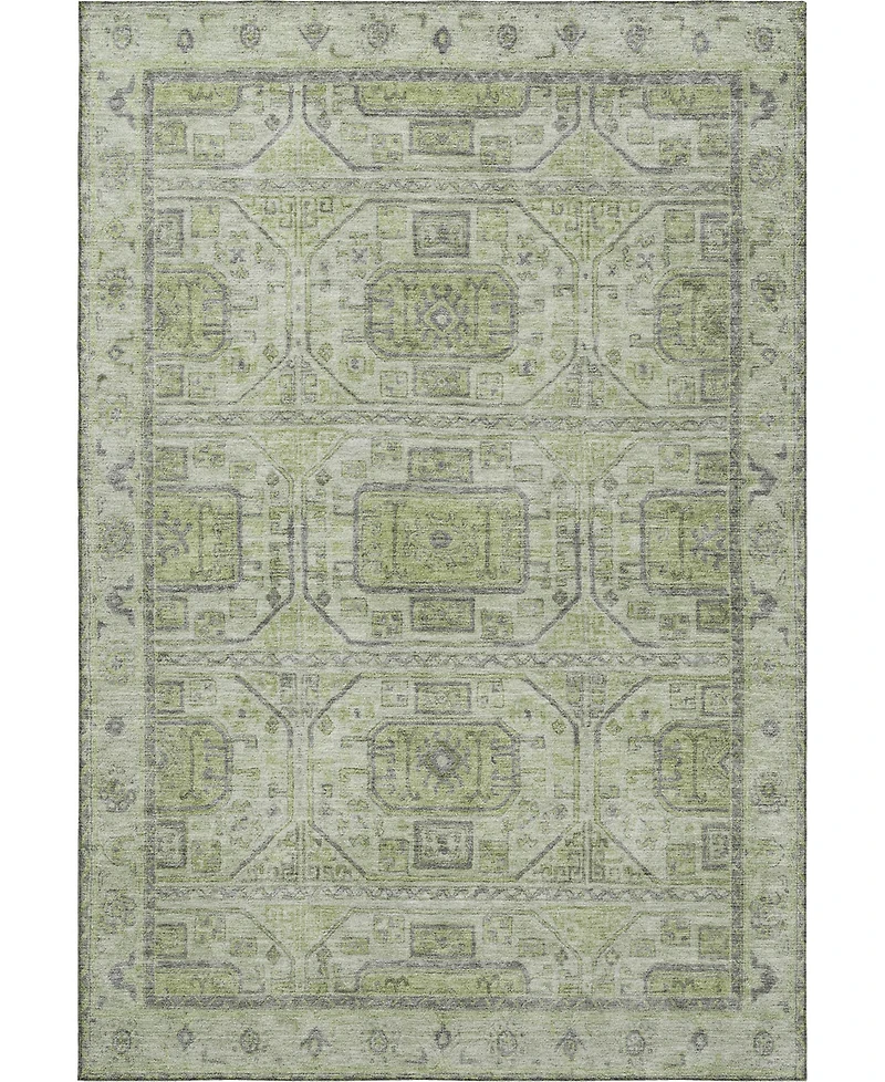 Addison Mayfield AMF1919 9'x12' Area Rug