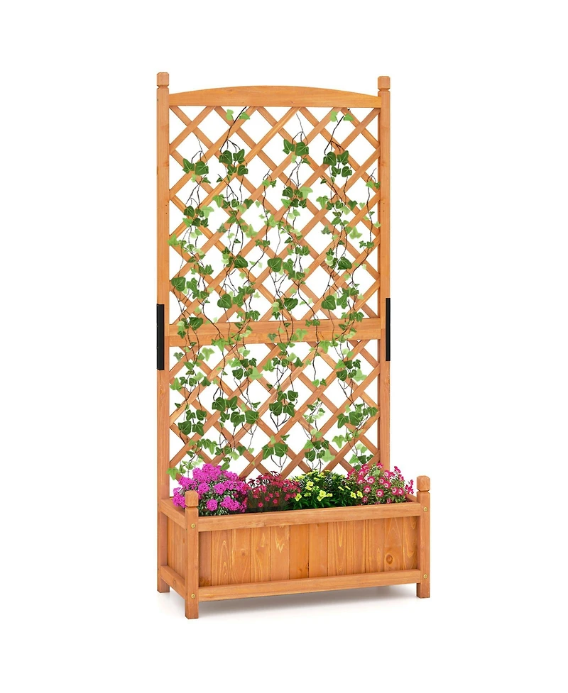 Sugift 60 in Tall Raised Garden Bed with Lattice Trellis and Drainage