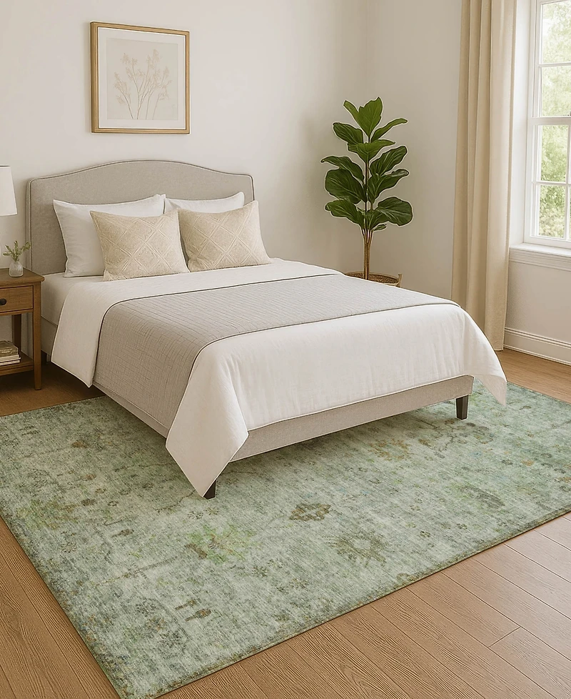Addison Mayfield AMF1972 10'x14' Area Rug