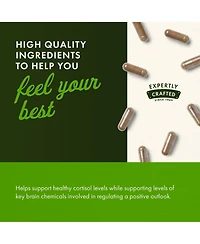 Swanson Premium Brand Rhodiola Rosea Root, Adaptogenic Herb Supplement, Balance and Stress Support, 100 Capsules