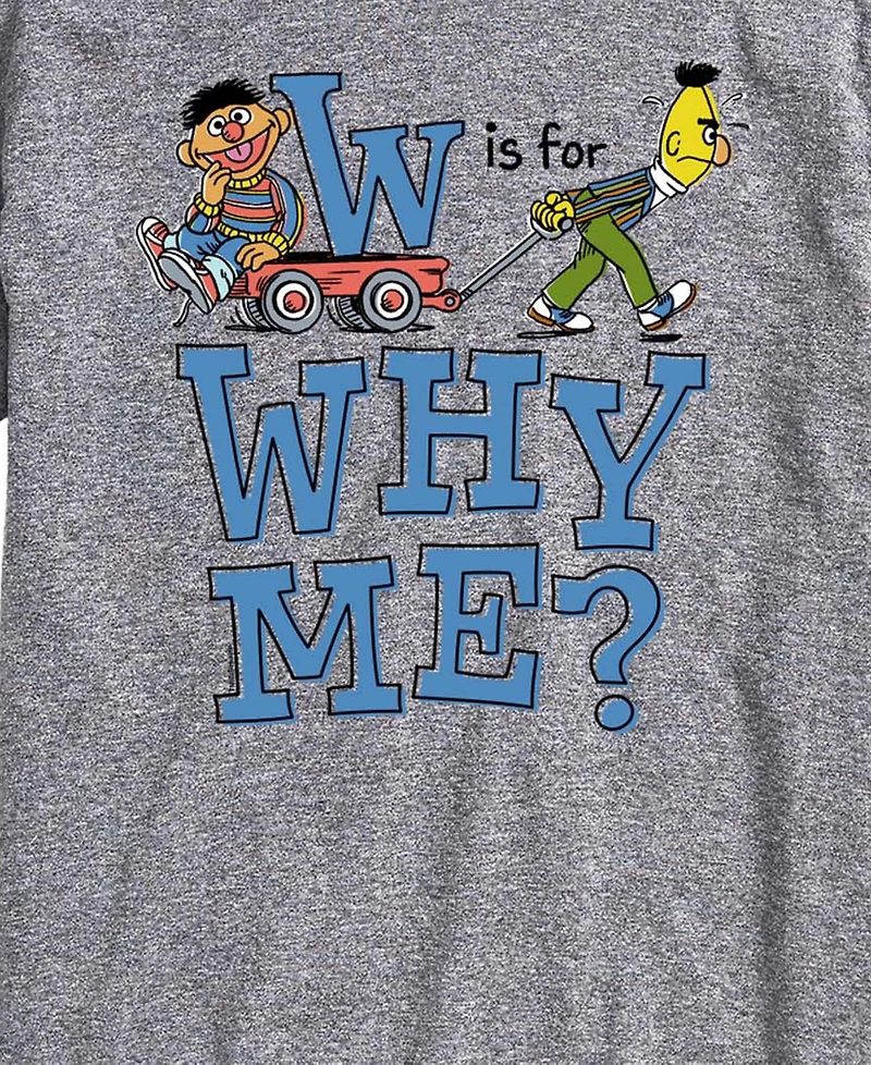 Airwaves Men's Sesame Street Is For Why Me Short-Sleeve Graphic T-Shirt