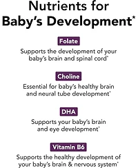 Theralogix TheraNatal Complete Prenatal Vitamin Supplement -91-Day Supply - With Dha, Vitamin D3, Folate, Iodine, Choline, Iron & More