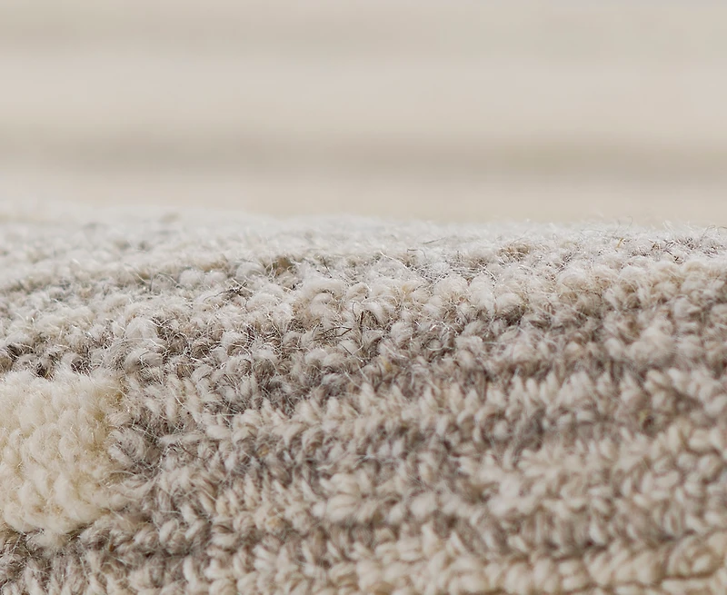 Momeni Everett Evt- 2'x4' Area Rug