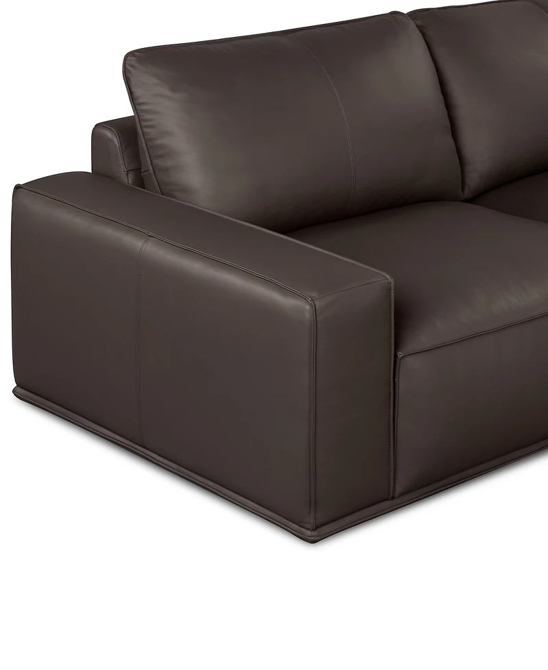 Paitlyn 5-Piece Leather L-Shape Sectional