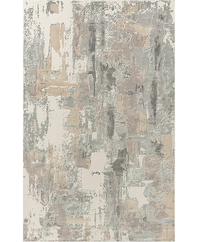 Lr Home Cheshire Chesh-127 4'x6' Area Rug