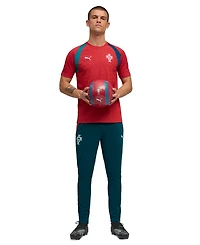 Puma Men's Portugal Training Pants