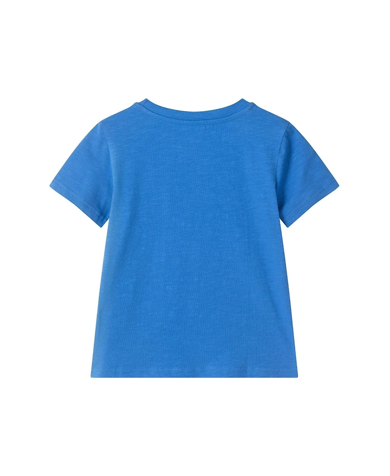 Andy and Evan Toddler Boys Surfing Dino Graphic Tee