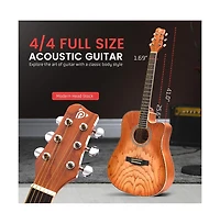 Pyle 41 Steel Strings Acoustic Guitar for Beginner and Adults