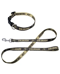 Wincraft Colorado Buffaloes Pet Leash and Collar Set