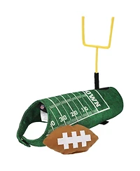 Jerry Leigh Nfl Green Touchdown Dog Costume