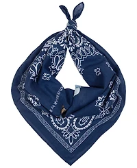 Polo Ralph Lauren Men's Polo Country Store Beardana Scarf