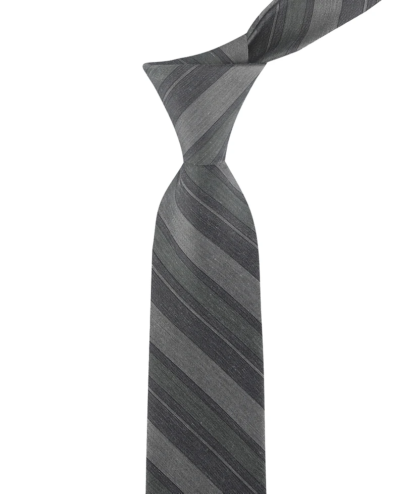 Calvin Klein Men's Flavie Stripe Tie