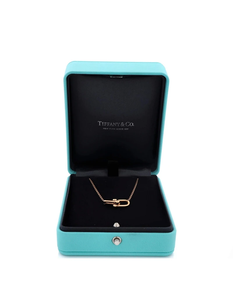 Pre-Owned Tiffany & Co HardWear Double Link Pendant Necklace