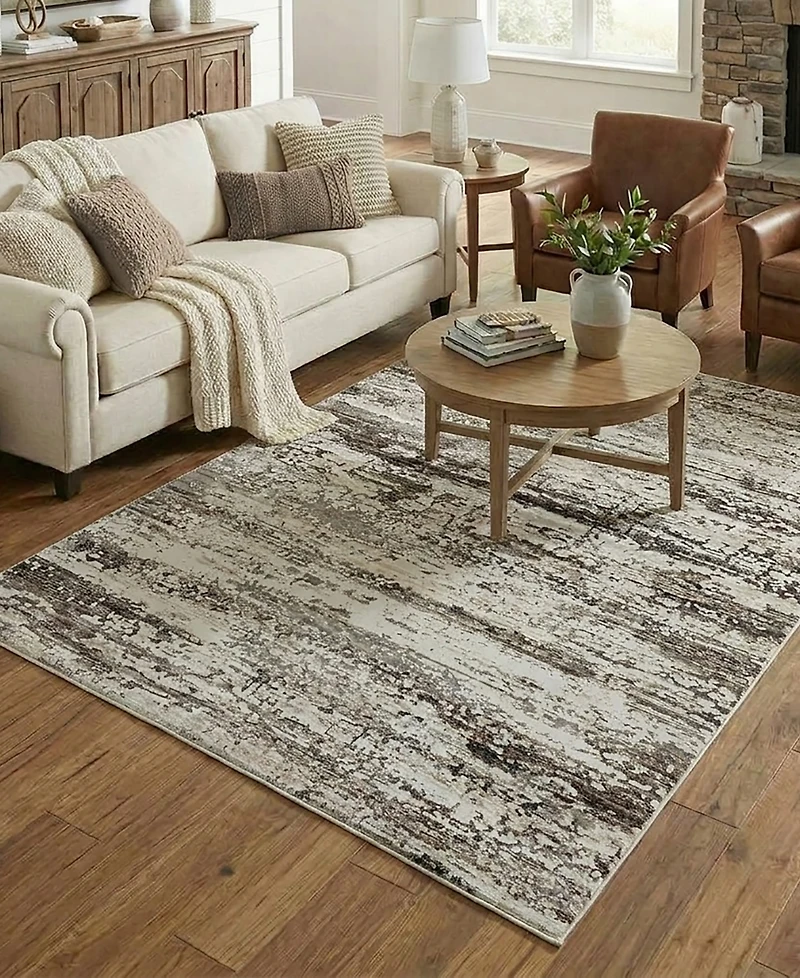 Lr Home Bienne BIENA286 4' x 6' Area Rug