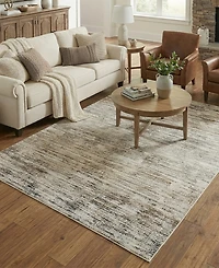 Lr Home Bienne BIENA288 4' x 6' Area Rug