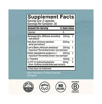 Host Defense MycoBenefits Mood Capsules