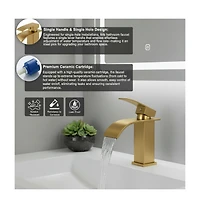 Phying Single Handle Bathroom Faucet Lavatory Faucet Stainless Steel Single Hole-tp