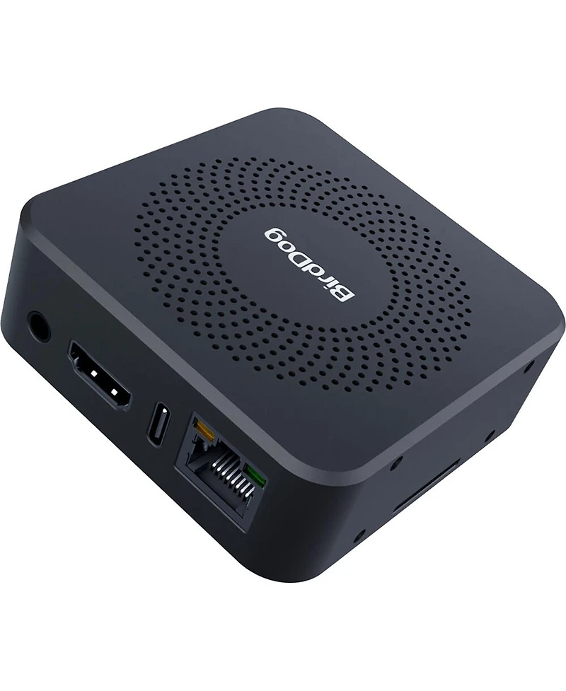BirdDog Play Pro 4K Ndi to Hdmi 2.0 Converter