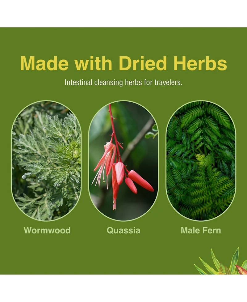 Trace Minerals ParaFree Softgels 60 ct Herbs Etc