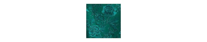 Tadashi Shoji Women's Oran Embroidered Tulle Gown