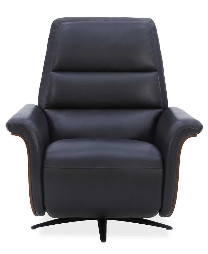 Fernand 43" Leather Power Swivel Recliner